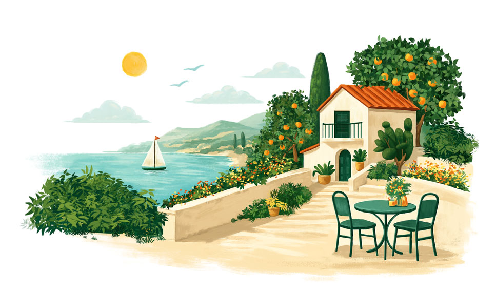 Biscu Biscuit - Packaging Illustration